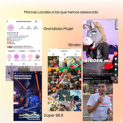 ASESORÍA PERSONALIZADA: Estrategia de Redes Sociales