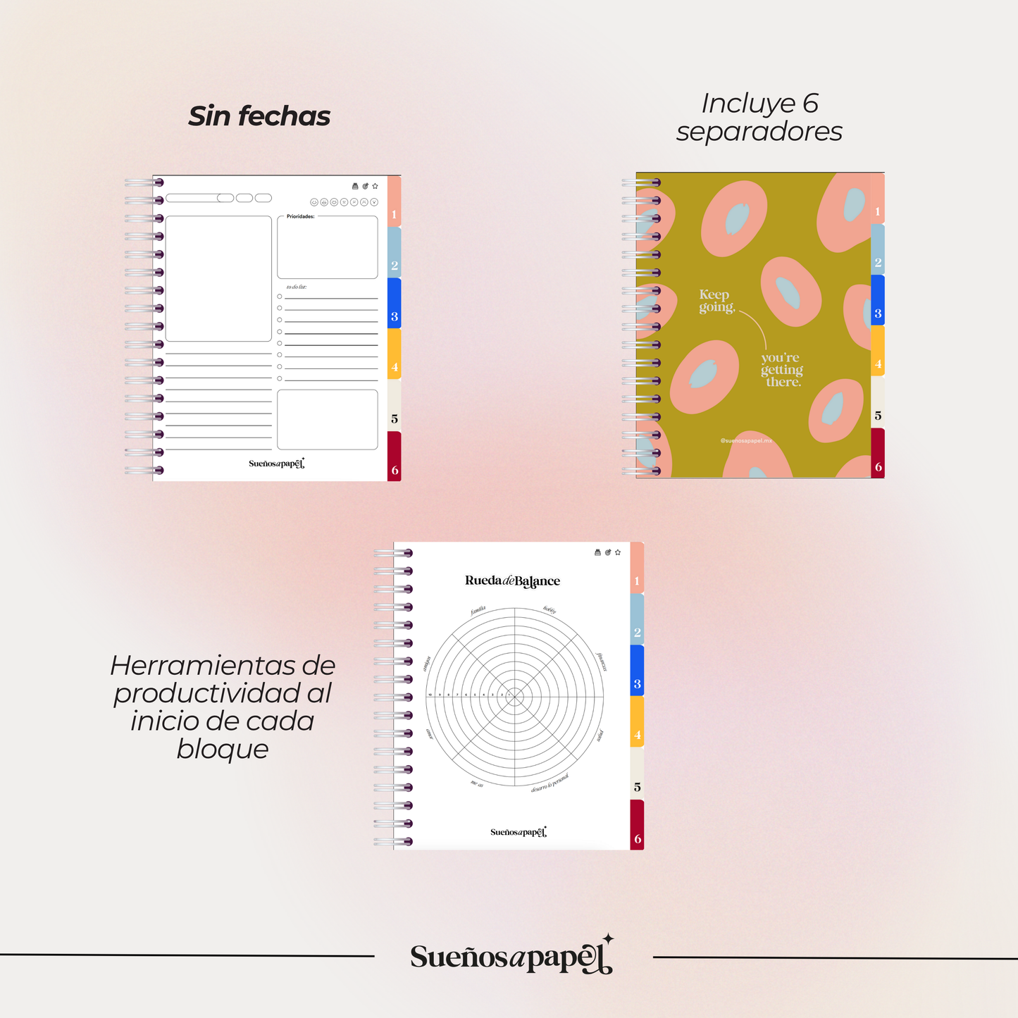 AGENDA SIN FECHAS: Daily Planner Multicolor