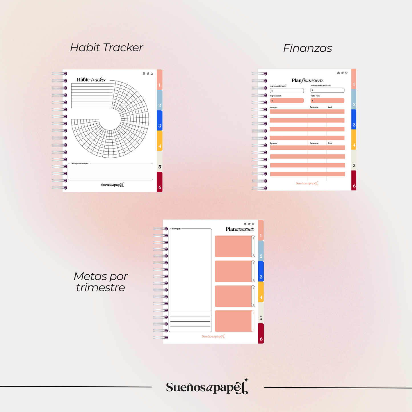 AGENDA SIN FECHAS: Daily Planner Multicolor